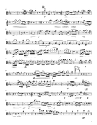 Duet mit zwei obligaten Augengläsern (Eyeglasses Duo), WoO 32, I. Allegro String Orchestra scores gallery preview page 3