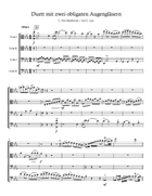 Duet mit zwei obligaten Augengläsern (Eyeglasses Duo), WoO 32, I. Allegro String Orchestra scores gallery preview page 4