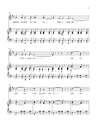 Funiculì, Funiculà - Clarinet & Piano in C Major - Intermediate Bass Clarinet scores gallery preview page 5