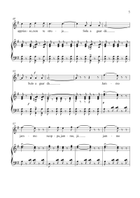 Funiculì, Funiculà - Flute & Piano in G Major - Intermediate Flute scores gallery preview page 5