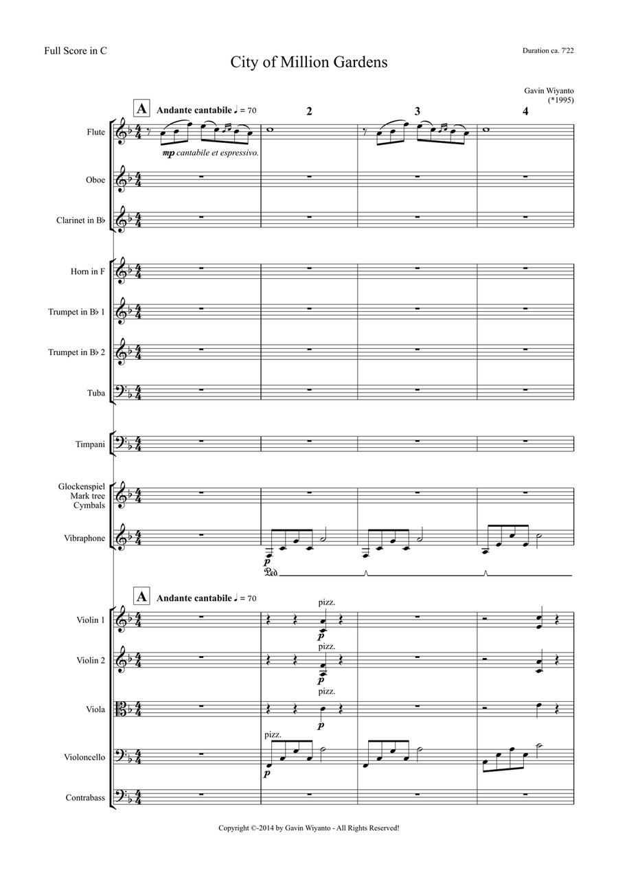 City Of Million Gardens for Chamber Orchestra (Score & Parts) Chamber Orchestra - Digital Sheet Music page 2