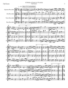 A Medley of Tunes by O'Carolan Recorder scores gallery preview page 3