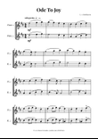 Ode to Joy (Beethoven's 9th Symphony Theme) | FLUTE DUET