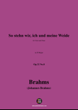 Brahms-So stehn wir,in D Major