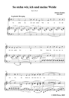 Brahms-So stehn wir,in F Major Piano, Vocal scores gallery preview page 3
