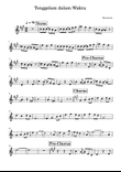 Tenggelam Dalam Waktu - Barasuara - Sheet Music