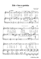 A. Dvořák-Zde v lese u potoka,in G flat Major Piano, Vocal scores gallery preview page 3