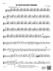 In Your Wildest Dreams : 1st Flute