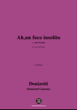 Donizetti-Ah,un foco insolito,in D Major