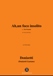 Donizetti-Ah,un foco insolito,in D flat Major