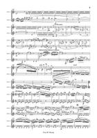 Concertino for Clarinet, Op.26 for Clarinet Duet Clarinet Duet scores gallery preview page 3