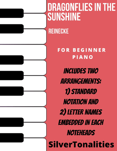 Dragonflies in the Sunshine Beginner Piano Sheet Music Combo