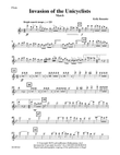 Invasion of the Unicyclists - Flute