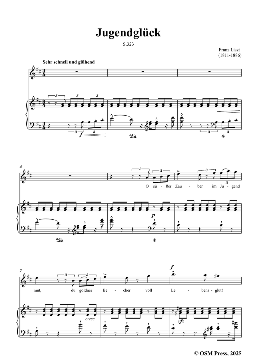 Liszt-Jugendglück,in D Major by Franz Liszt Piano, Vocal - Digital Sheet Music page 3