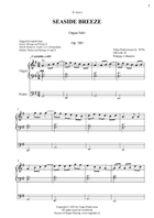 Echoes of Palanga: Six Meditative Pieces for Organ Organ Solo scores gallery preview page 3