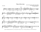 Time Of Our Lives Marching Band scores gallery preview page 6