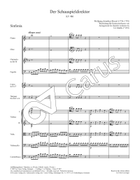 Der Schauspieldirektor Flute scores gallery preview page 8
