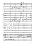 Der Schauspieldirektor Flute scores gallery preview page 9