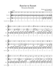 Sunrise to Sunset-mallet trio