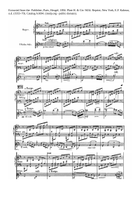 Meditation (violin and guitar) Flute scores gallery preview page 4