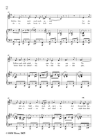 H. Wolf-Der Soldat I,in G Major Piano, Vocal scores gallery preview page 4
