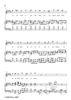 H. Wolf-Spottlied aus Wilhelm Meister,in B Major Piano, Vocal scores gallery preview page 4