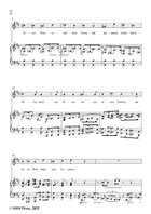 H. Wolf-Spottlied aus Wilhelm Meister,in D Major Piano, Vocal scores gallery preview page 4