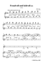 Liszt-Freudvoll und leidvoll II,S.280bis,in B flat Major Piano, Vocal scores gallery preview page 3