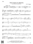 The Tears of Arizona: Flute