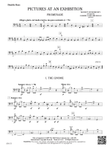 Pictures at an Exhibition: Double Bass