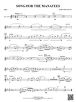 Song For The Manatees: Flute