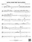 Song For The Manatees: 3rd Mallet Percussion