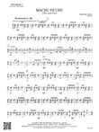 Machu Picchu: Percussion 1