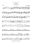 Elegy in the Baroque Style - Piccolo