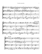 Tera Hone Laga Hoon String Quartet scores gallery preview page 5