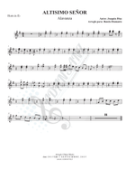 ALTISIMO SEÑOR Concert Band scores gallery preview page 4