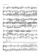Rabaud Solo de Concours Op. 10 for Clarinet and Piano Clarinet Solo scores gallery preview page 4
