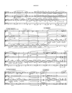 Skinny String Quartet scores gallery preview page 3