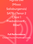 Agnus Dei (Missa Salisburgensis) SATB - Tenor 2 Choir 1 Predominant - Biber