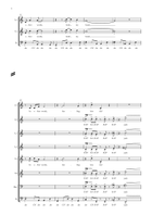 Medley: Fly Me To The Moon (In Other Words) with Come Fly With Me SSAATTBB scores gallery preview page 5