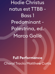 Hodie Christus natus est TTBB - Bass 1 Predominant - Palestrina, ed. Marco Gallo