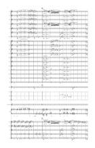 Variations on Ravel's Piece en Forme de Habanera Full Orchestra scores gallery preview page 4
