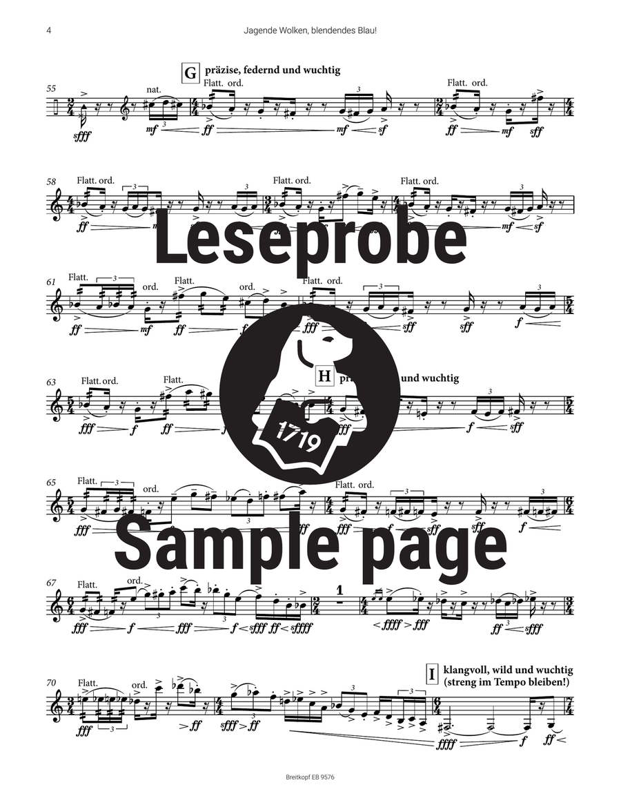 Jagende Wolken, blendendes Blau! Tuba - Sheet Music page 4
