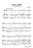 G. Puccini-Amore o grillo,from 'Madama Butterfly,SC 74',in A flat Major Piano, Vocal scores gallery preview page 3