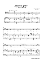 G. Puccini-Amore o grillo,from 'Madama Butterfly,SC 74',in B Major Piano, Vocal scores gallery preview page 3