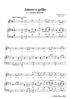 G. Puccini-Amore o grillo,from 'Madama Butterfly,SC 74',in D Major Piano, Vocal scores gallery preview page 3