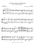 Lo! How A Rose E'er Blooming Piano Solo scores gallery preview page 3