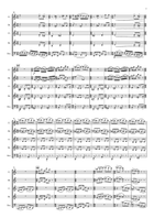 Shake, Relax, Jump! Woodwind Quintet scores gallery preview page 3