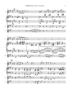 Colorful Clouds Chasing the Moon Full Orchestra scores gallery preview page 3