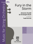 Fury in the Storm
